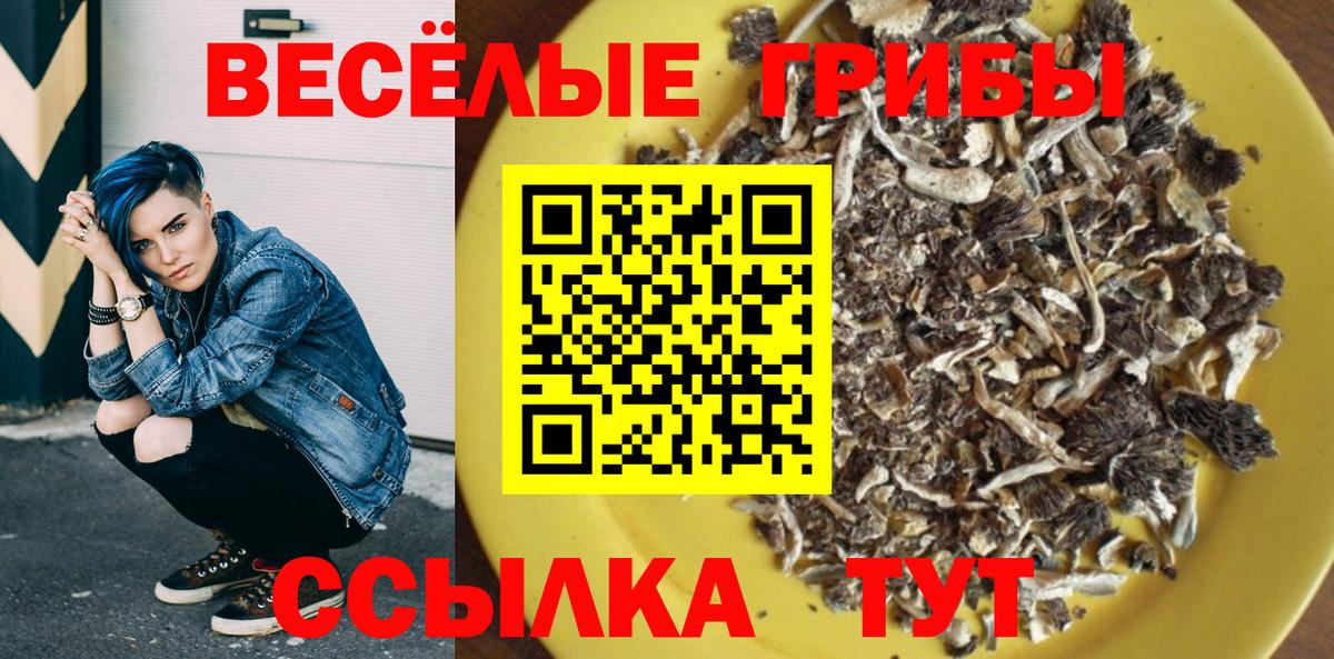 Псилоцибиновые грибы Psilocybine cubensis Дедовск