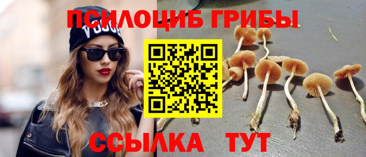 Галлюциногенные грибы Psilocybe  Вход с VPN  Дедовск 
